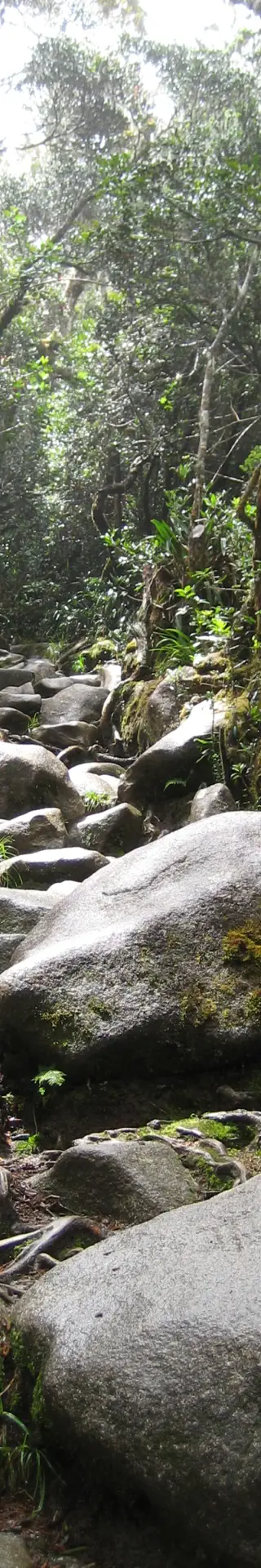 Weg zum Mount Kinabalu